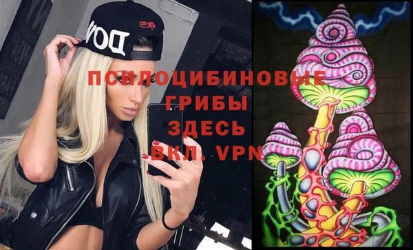 соль ск Краснослободск
