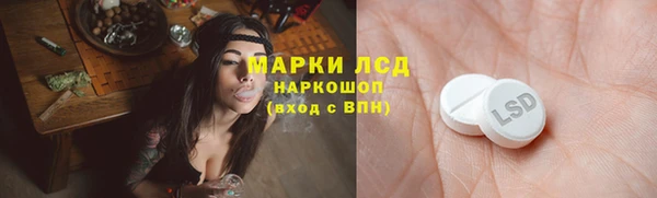 соль ск Краснослободск