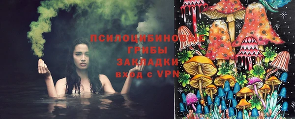соль ск Краснослободск