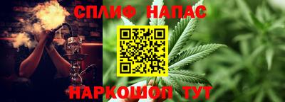 спиды Донской