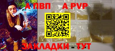 спиды Донской