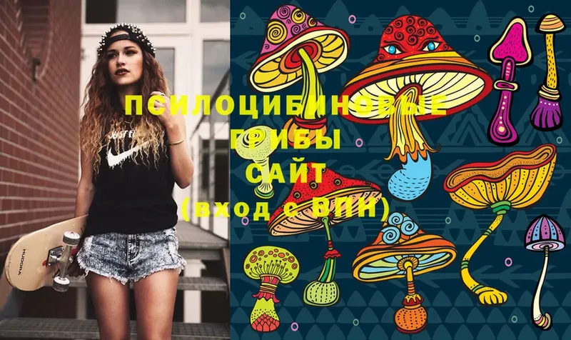 Галлюциногенные грибы Magic Shrooms  как найти закладки  Ногинск 