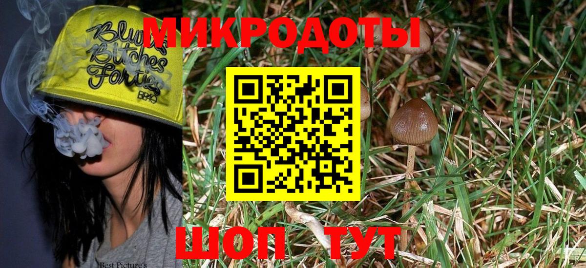 Псилоцибиновые грибы Psilocybine cubensis Ногинск