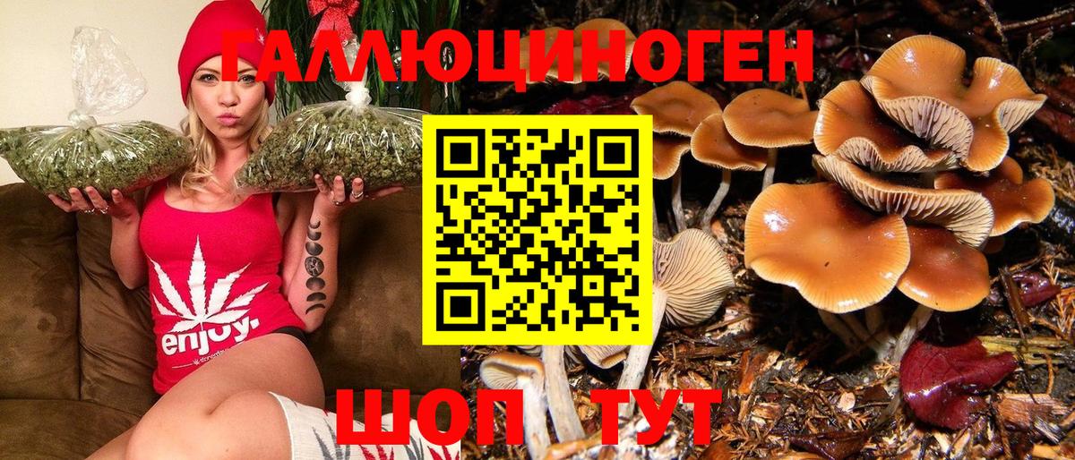 Псилоцибиновые грибы Magic Shrooms  Галлюциногенные грибы мицелий  Ногинск  Вход с VPN 